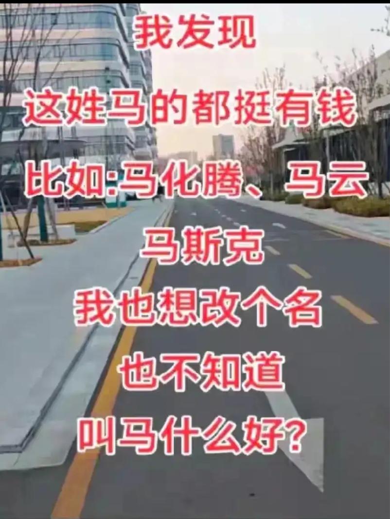 网友发现这姓马的都挺有钱。
比如：马化腾、马云、马斯克
他现在想改个名，你们觉得
