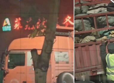 京沪高速莱芜北服务区两名保安深夜偷拿货车生姜，被监控拍下。司机发现后反馈，服务区