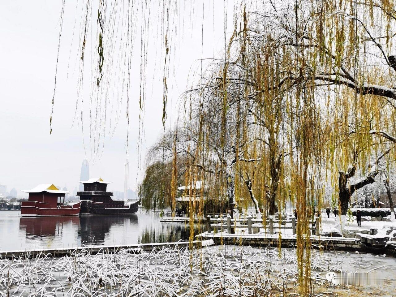 苏老师一句话，治好了我十年的“憋气”

山大那片小竹林里，常有学生跟苏老师诉苦：