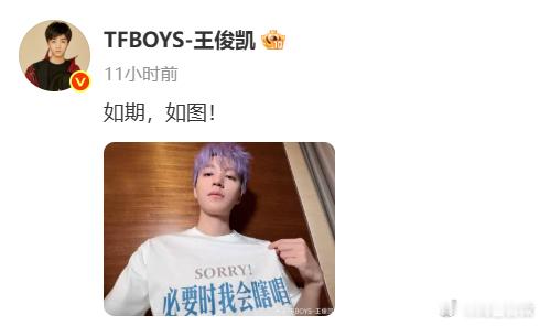 王俊凯紫发帅出新高度了王俊凯好傲娇的自拍视角 紫色发色的王俊凯真的是帅出了一定的