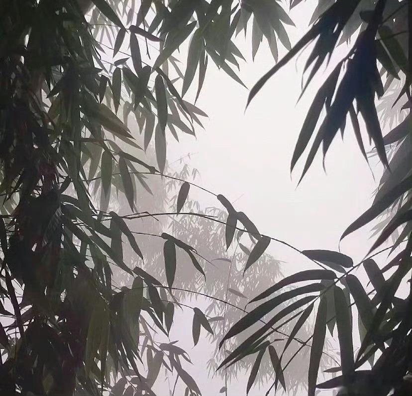 这届微小说作者全是狠人微小说到底藏了多少神作书评 如牛奶打翻，徒劳哭泣无济于事，