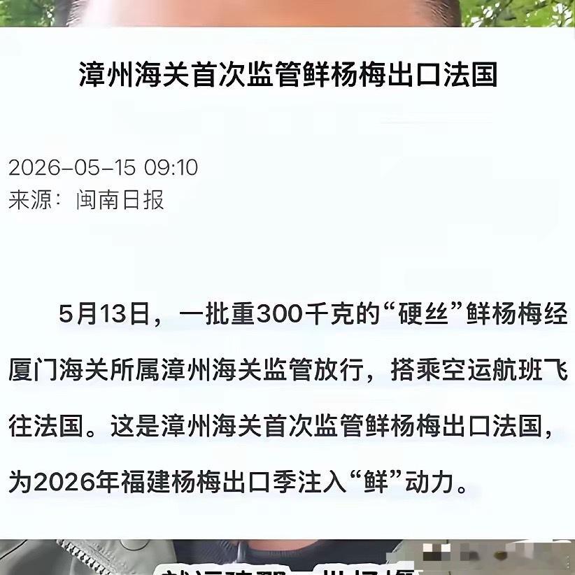 有位网友破防了，福建漳州的杨梅，出口到欧盟的全部都是最好的而且还不泡药水。反而那
