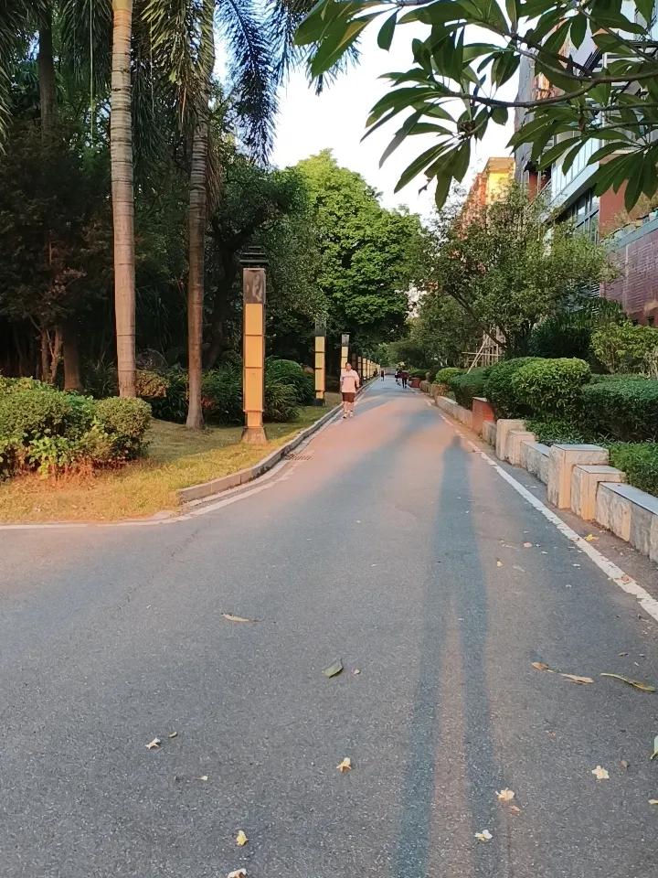 清晨沐浴第一缕曙光，感受大自然的清新，开启元气满满的一天