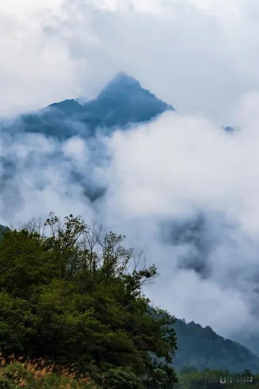 上联:水畔烟轻缠碧柳;
下联:山间雾重达霄云。
友友请展示下联 友友请出下联 友