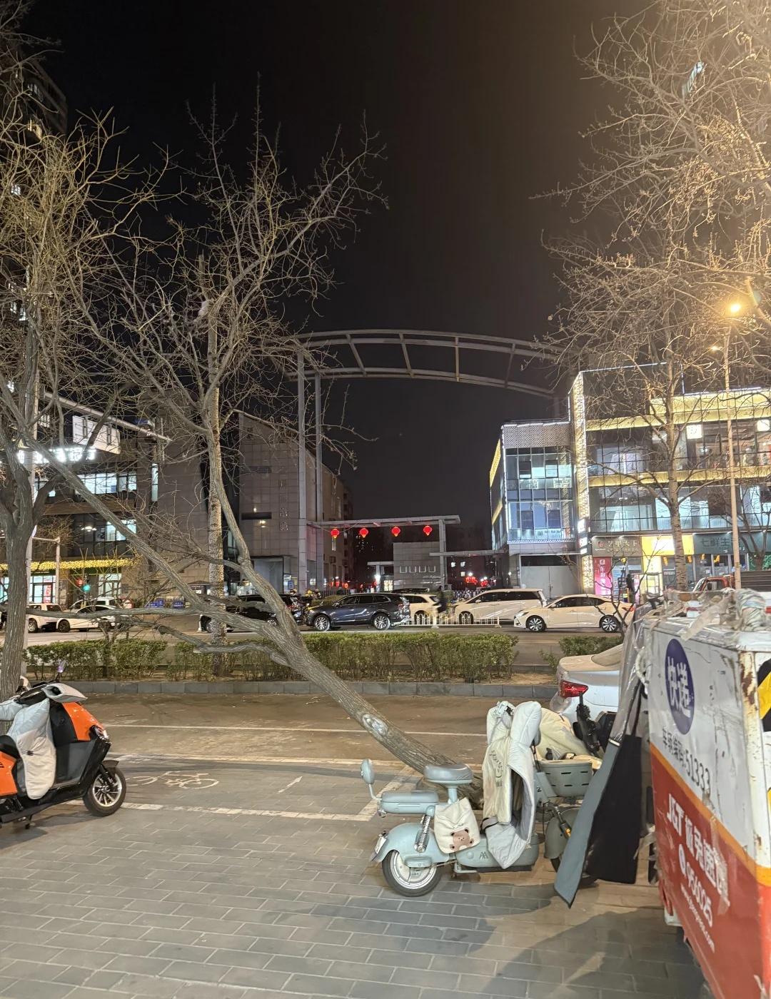 北京十级大风我本来不信的！但是刚出门看见
树倒了！我就信了	所有电动车都倒了！我