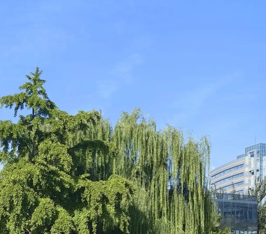 #人经历了哪些事后会让你心灰意冷#当你爱的女人不愿意再跟你同甘共苦，甚至向你投来