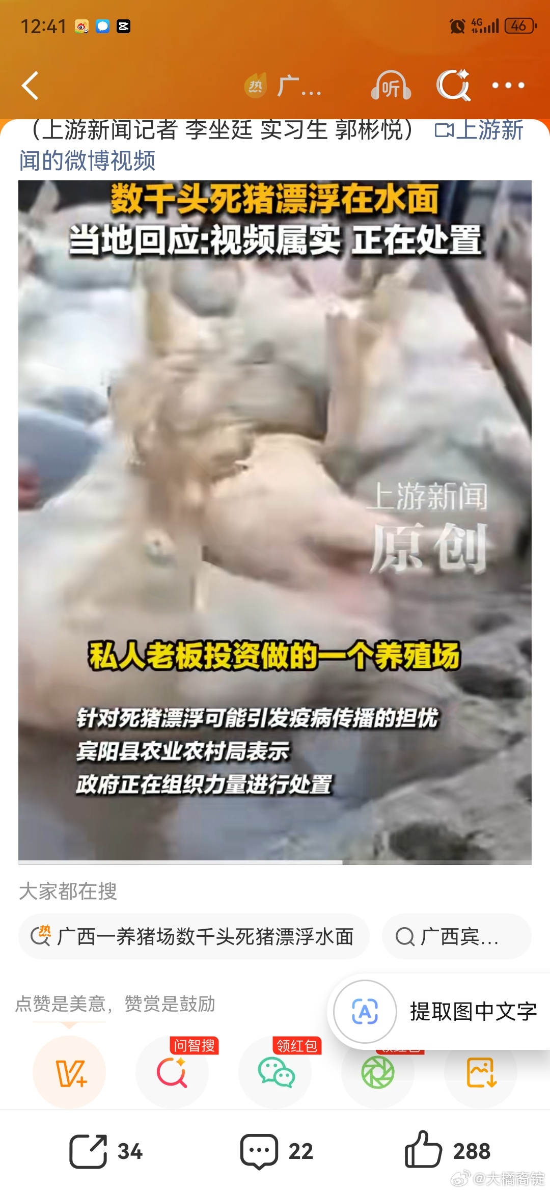 广西一养猪场数千头死猪漂浮水面可怜的猪猪广西这次洪水损失真的有点大各种养殖场被冲