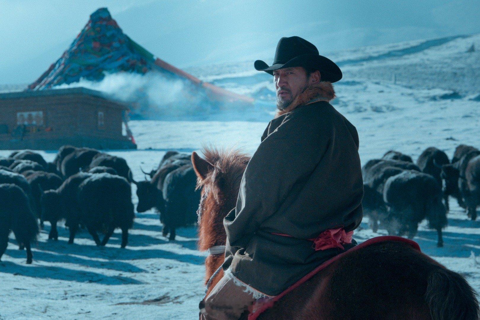 金巴过年回草原放牧 谁不爱这样的金巴啊！演扎措让人记住，过年回草原放牧，浑身透着