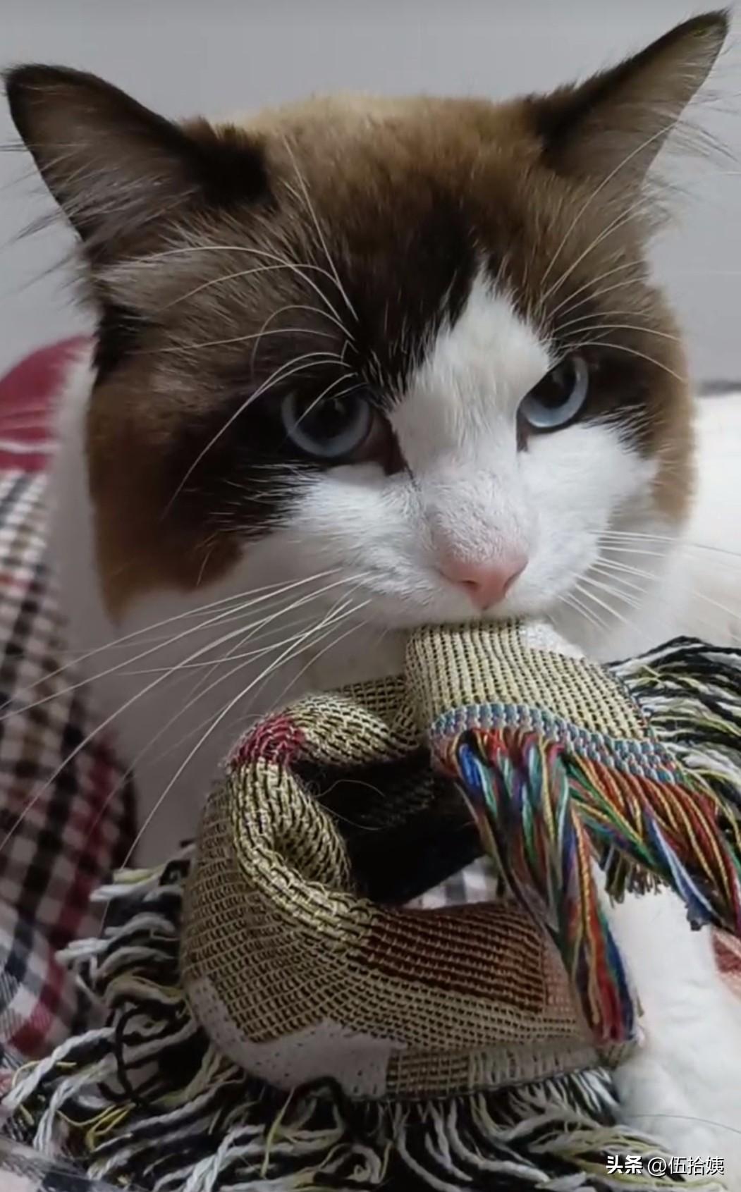 早上9点出门，晚上9点15分到家，爬楼梯都是三步并两步，心里在想毛孩子不知道是在