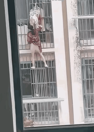 这是翻跃阳台，去找隔壁王老五了？这场景就像谍战片里的秘密接头。还是别人家女主人回