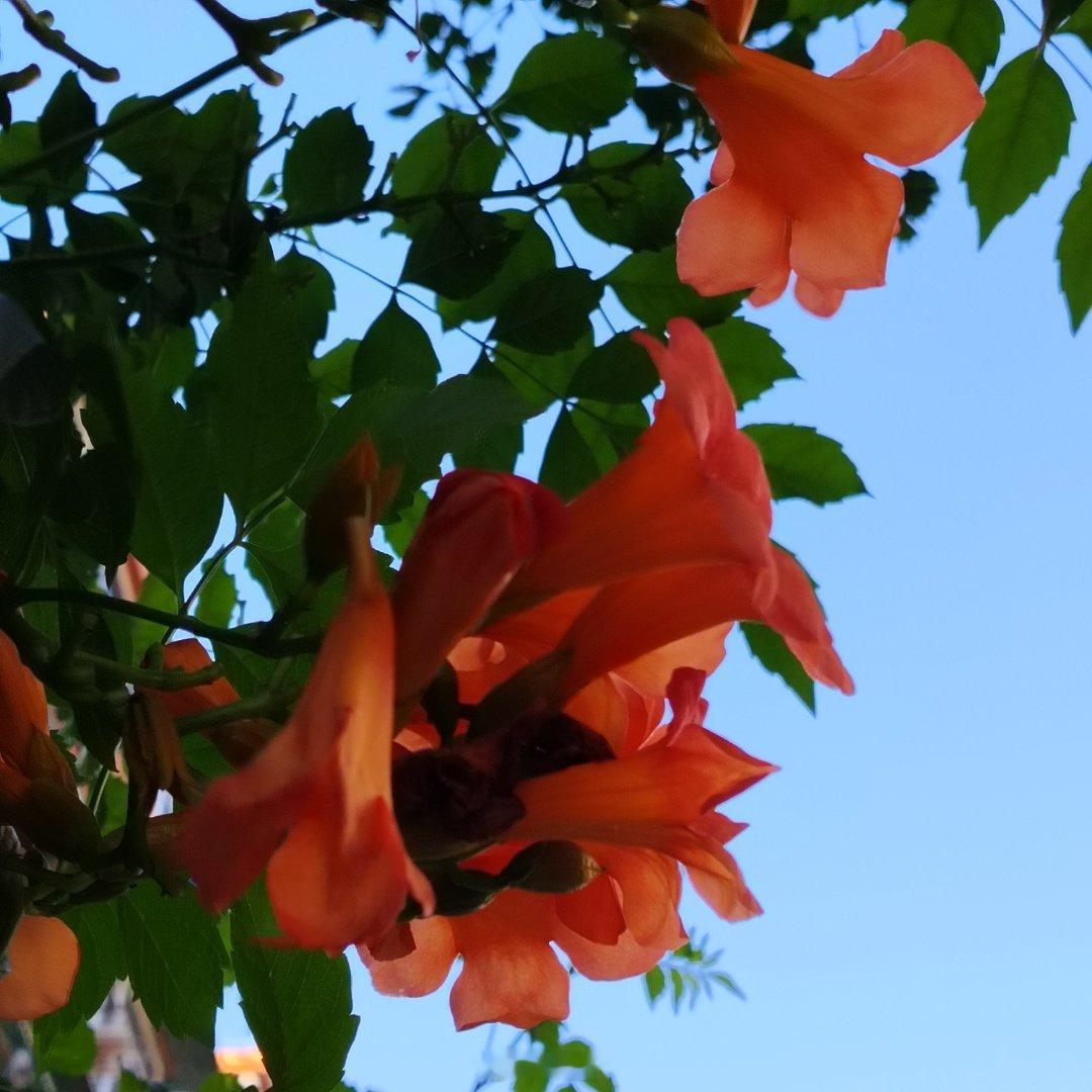 愿平安顺遂，清凉一夏～ 
