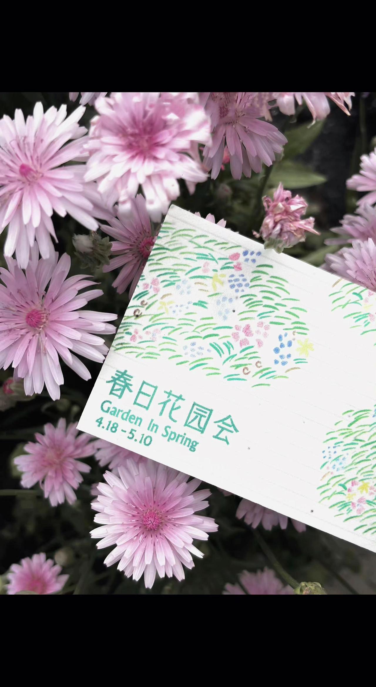 🌸春日请帖藏进花海啦～粉瓣是春天的邮戳💌，4.18-5.10赴一场浪漫约会?