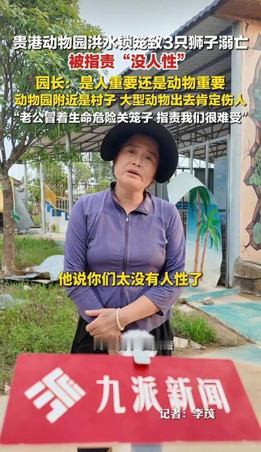 3只狮子被洪水活活淹死！广西一动物园被骂"没人性"，可真相曝光后，全网沉默了……