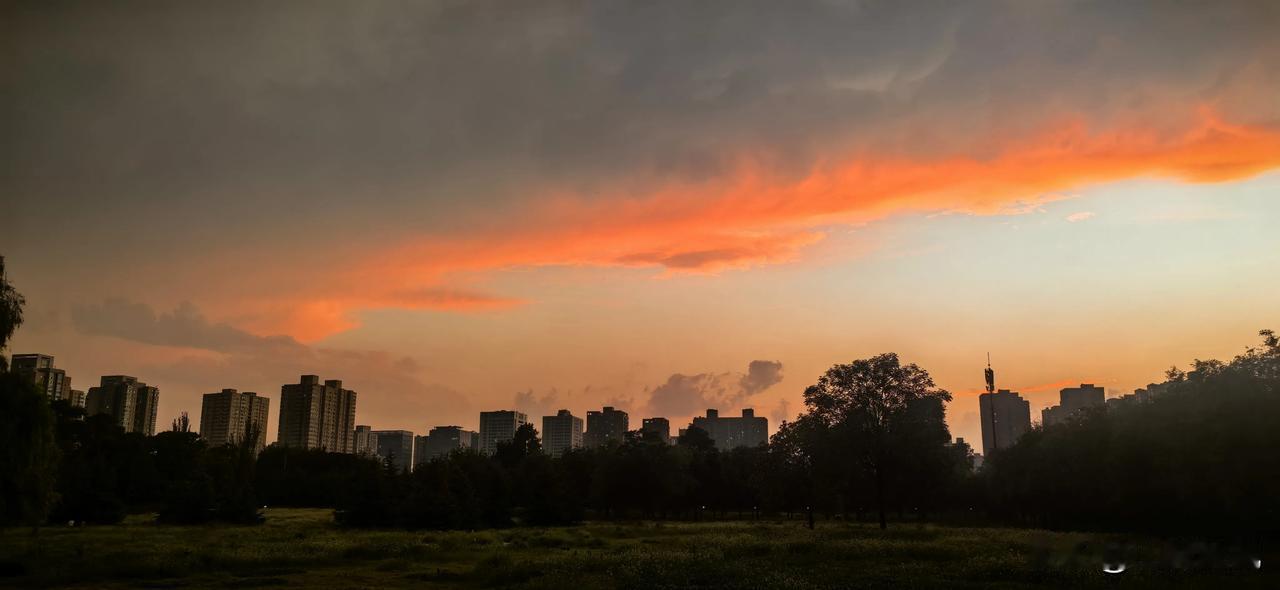 雨后大明宫遗址公园。