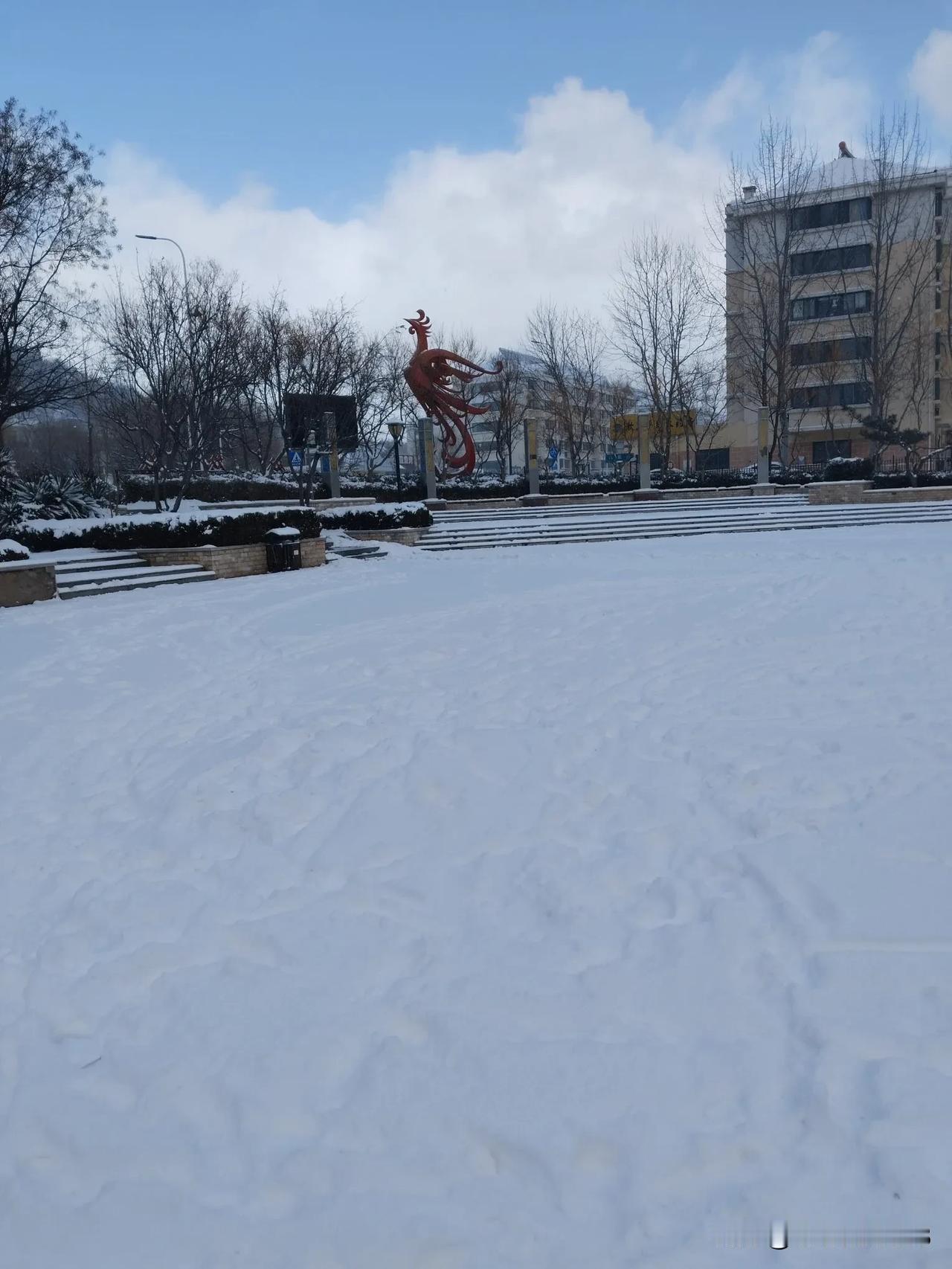 烟台这几天的雪，不是一直下，但是没有停的意思，一会有太阳，一会就开始雪花飞舞，这