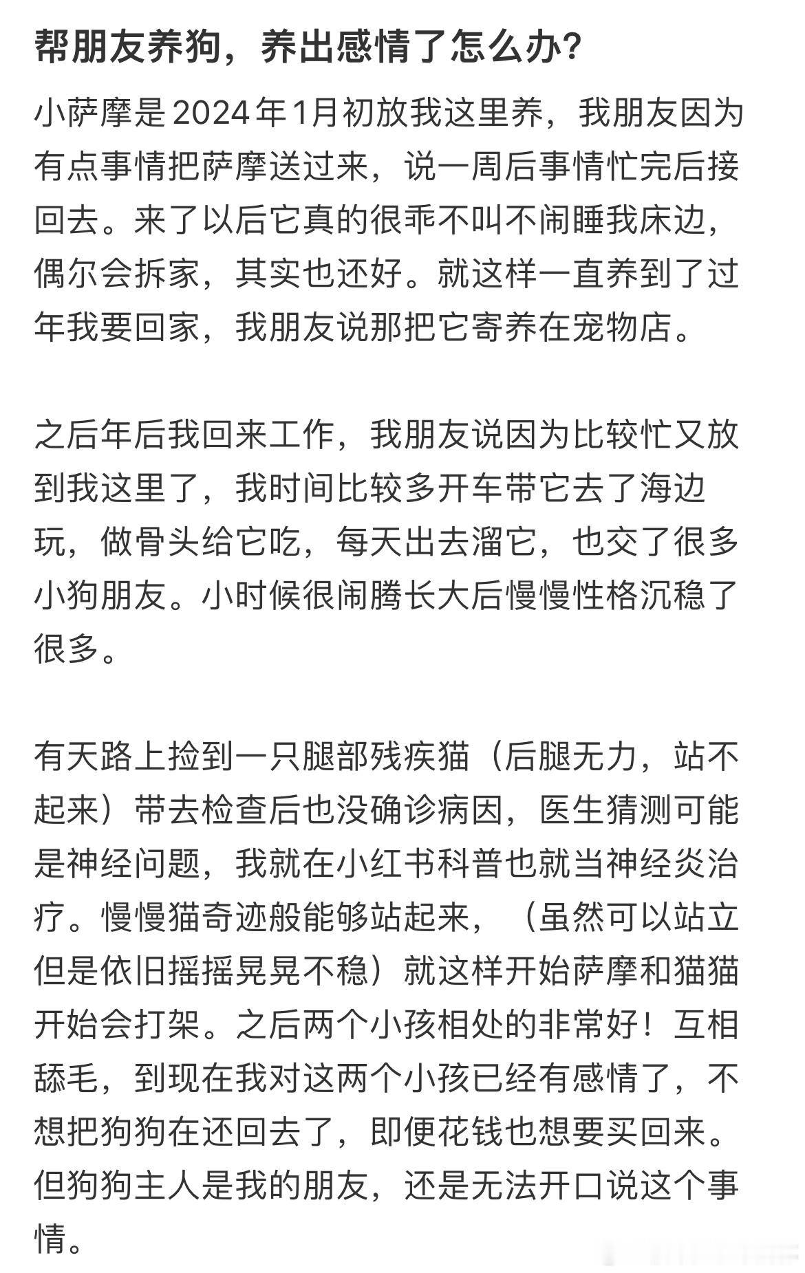 #帮朋友养狗养出感情了怎么办# 帮朋友养狗养出感情了怎么办？#夏日整活日记# ​