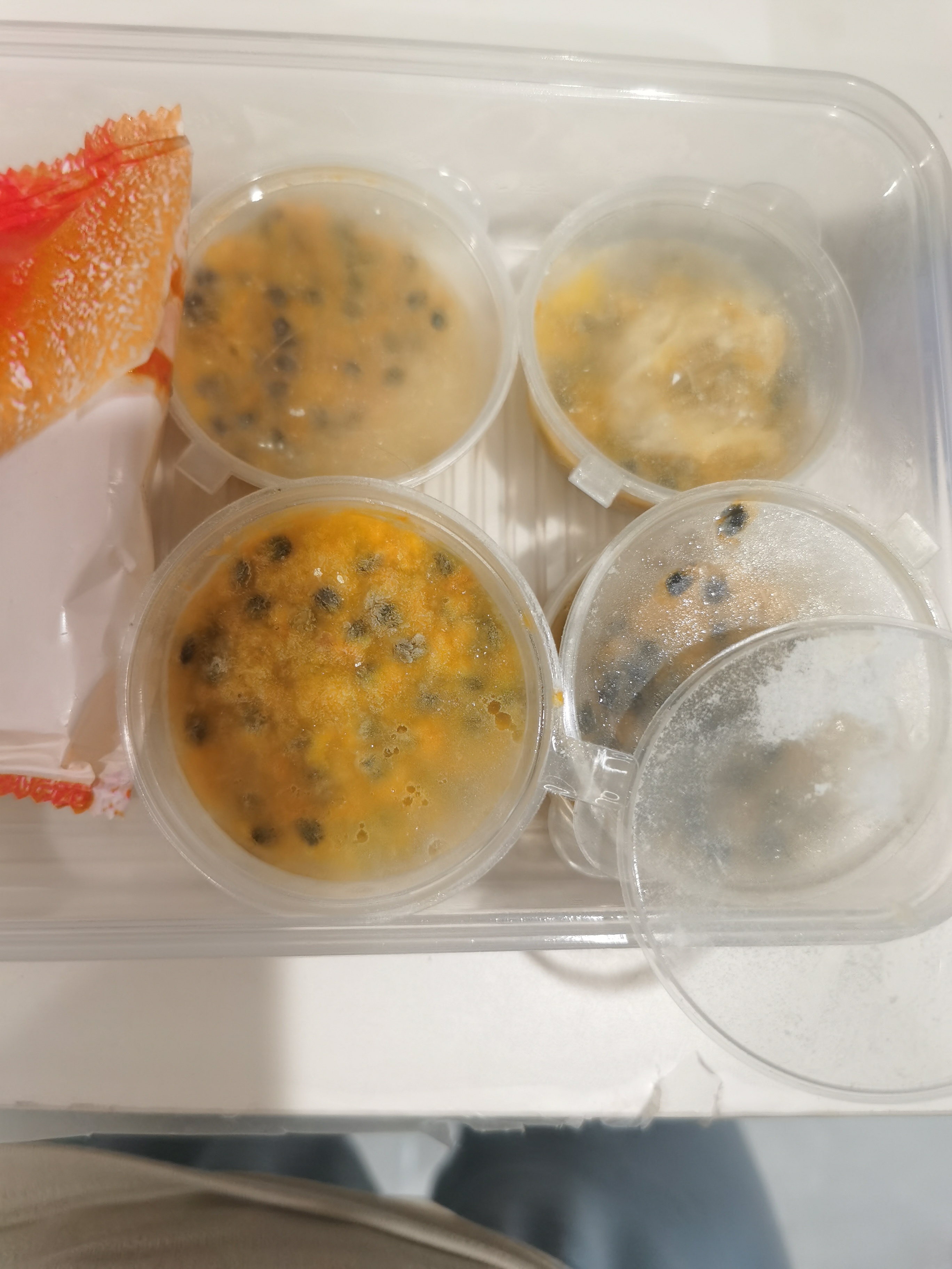 夏天要到了安利大家自己买分装盒冷冻百香果超爱❤️配点0卡糖这不就不用外卖了