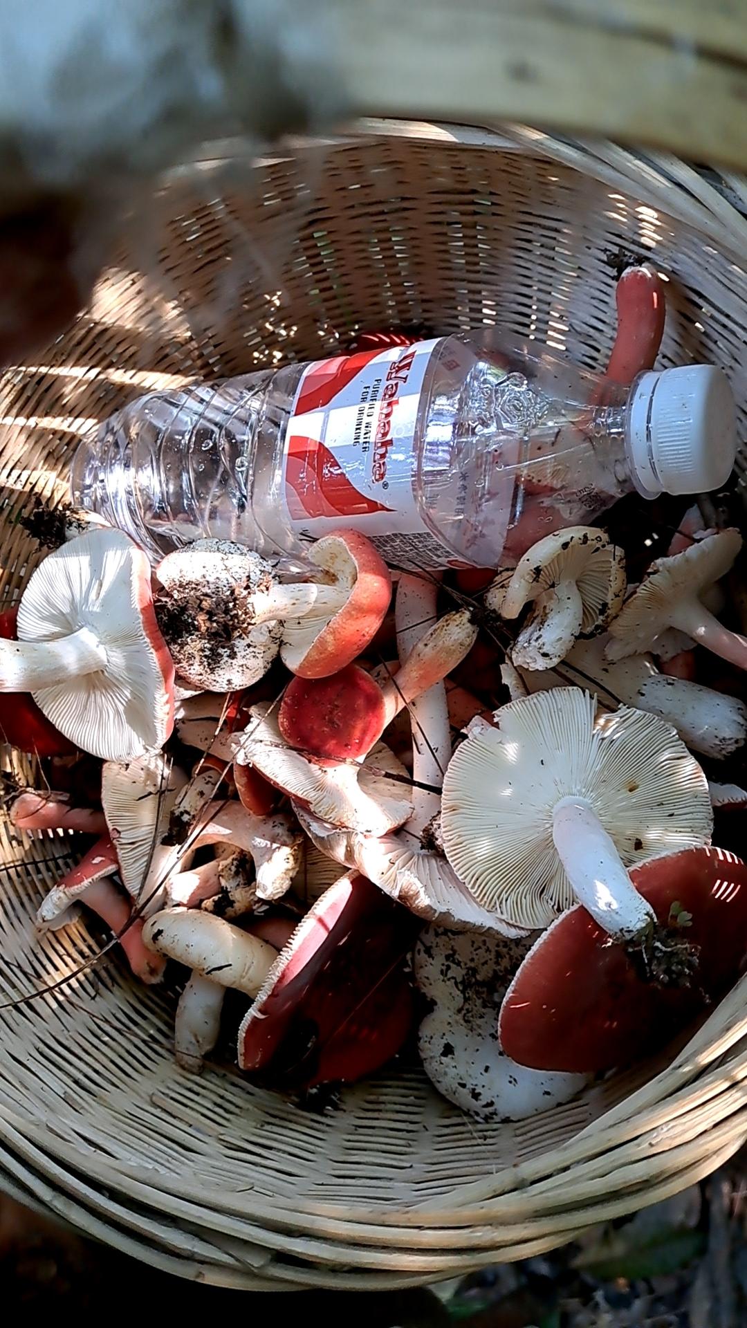 冬日生活打卡季