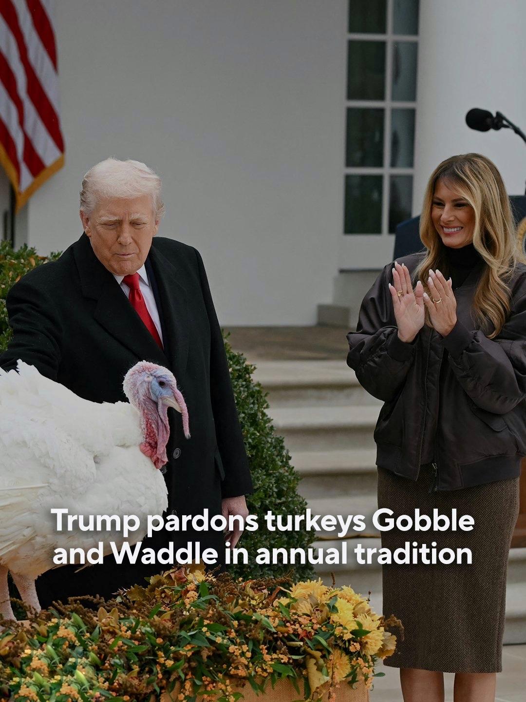 当地时间周二，特朗普赦免了两只火鸡“咕噜”Gobble和“摇摇摆摆”Waddle