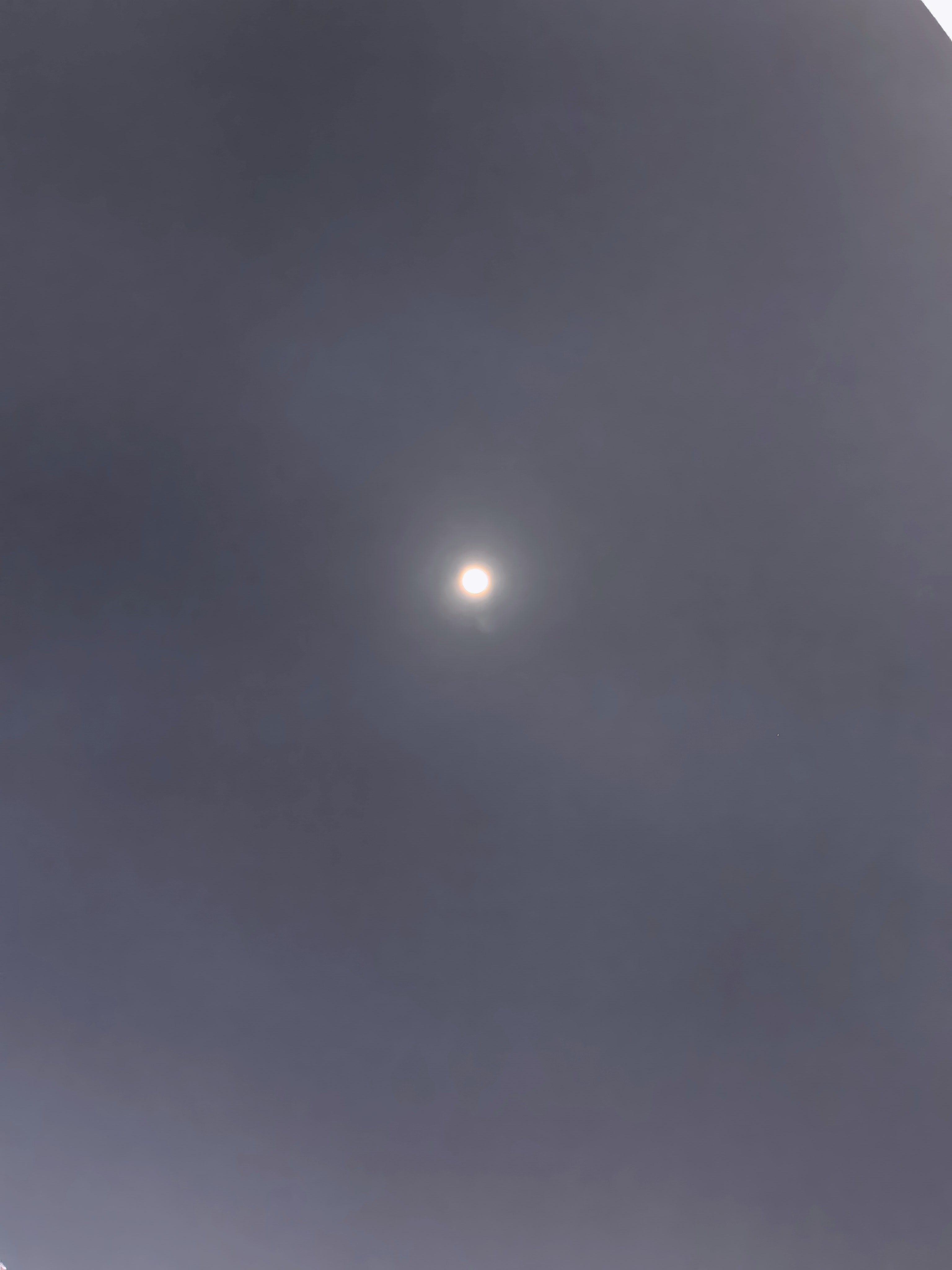 今晚的月亮又大又圆