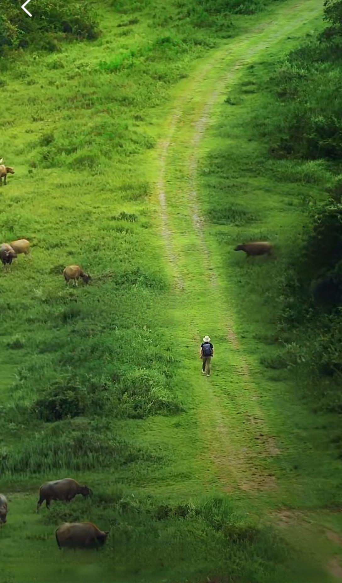 春日生活打卡季