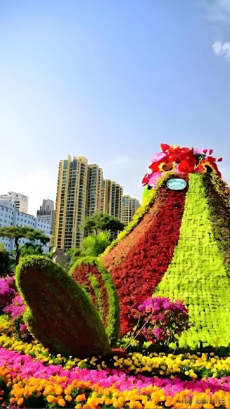 2025年马上要结束了，新的一年马上要到来。

2025年的美好画面，
用镜头把