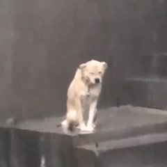 下好大的雨 