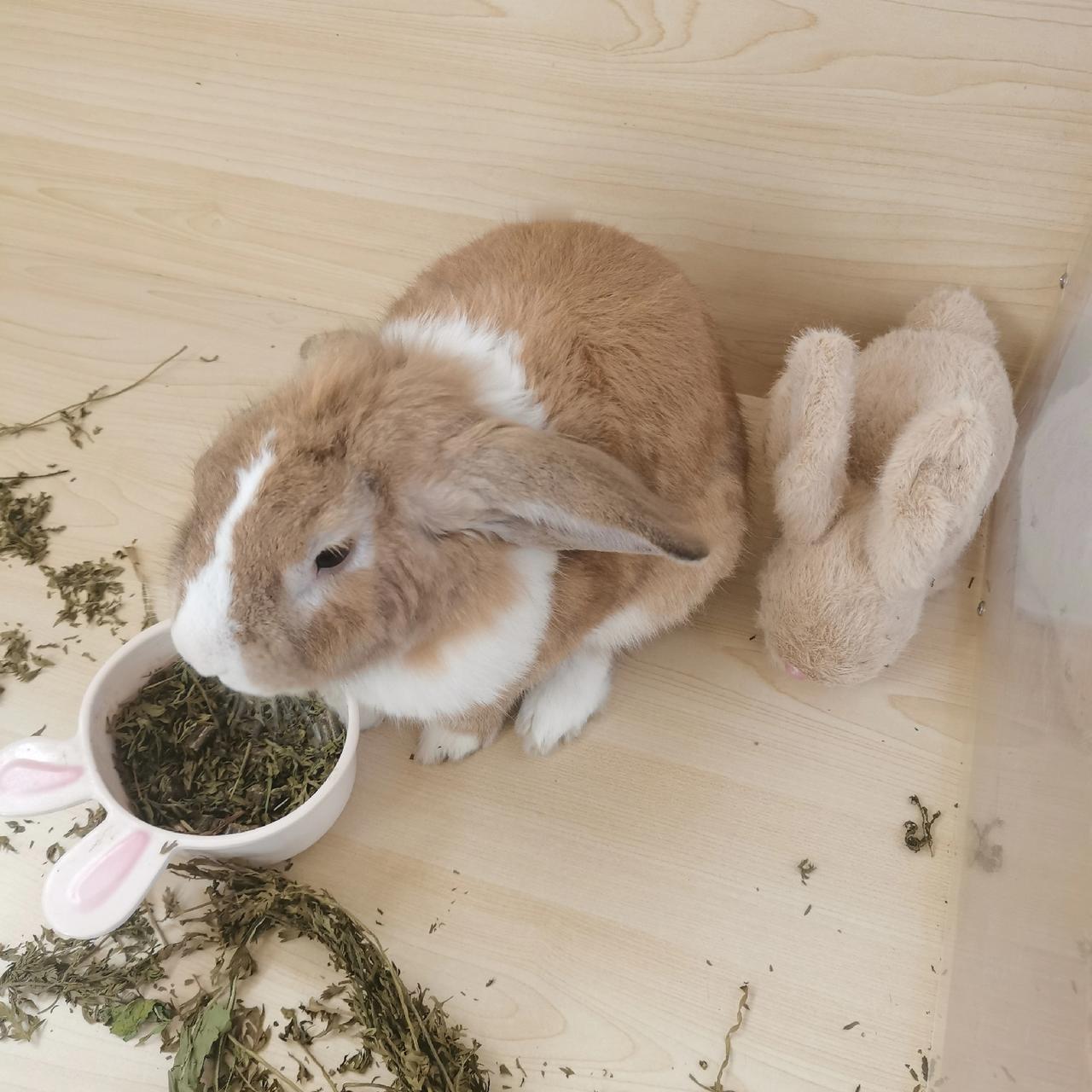 等了四五年，终于回本了
今天登录app发现，有一只基金终于回本了，立马把它卖掉。