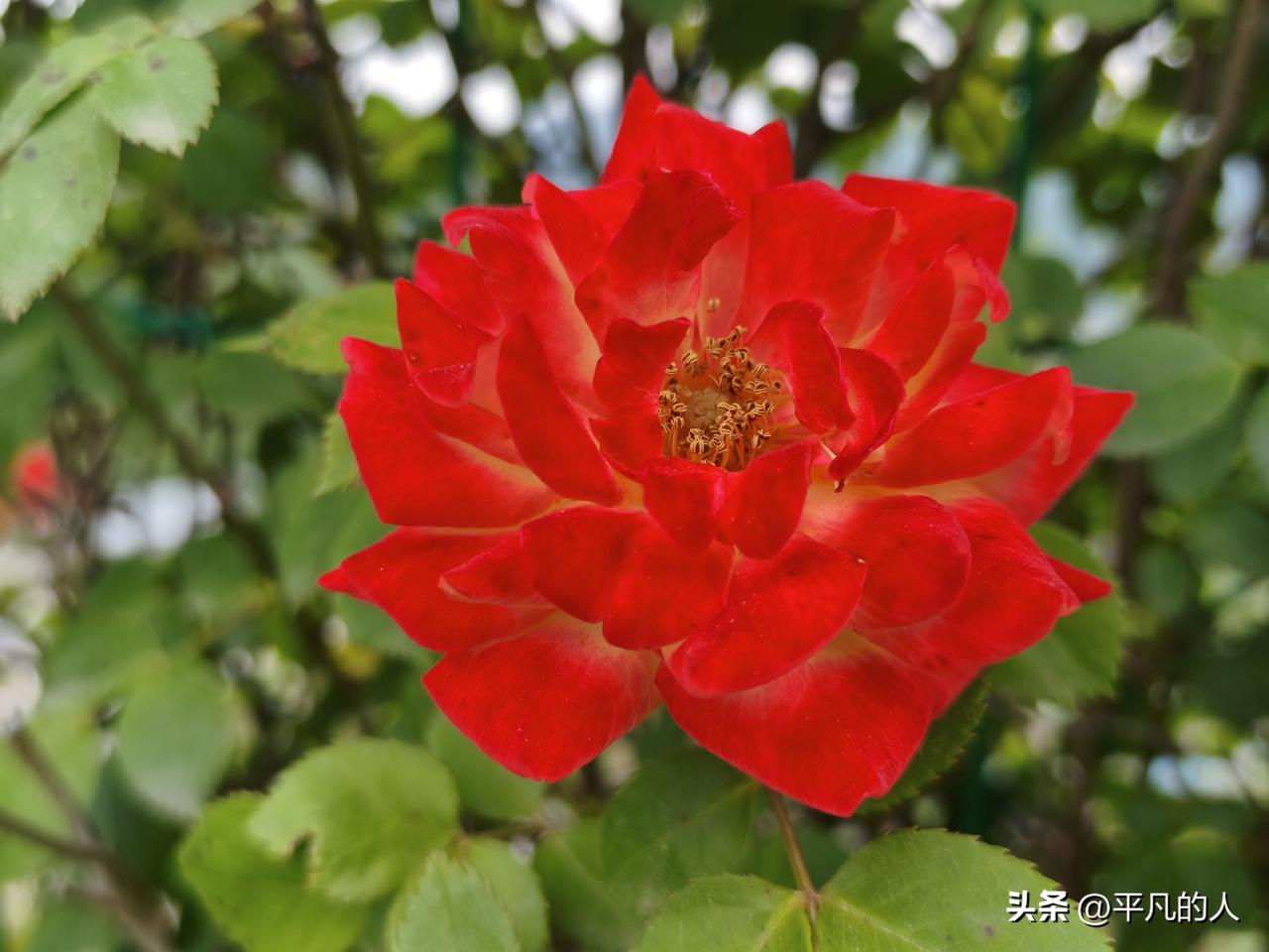 昨天是过往沉淀，藏着成长与遗憾
今天是当下光景，握着热爱与心安
明天是前路山海，