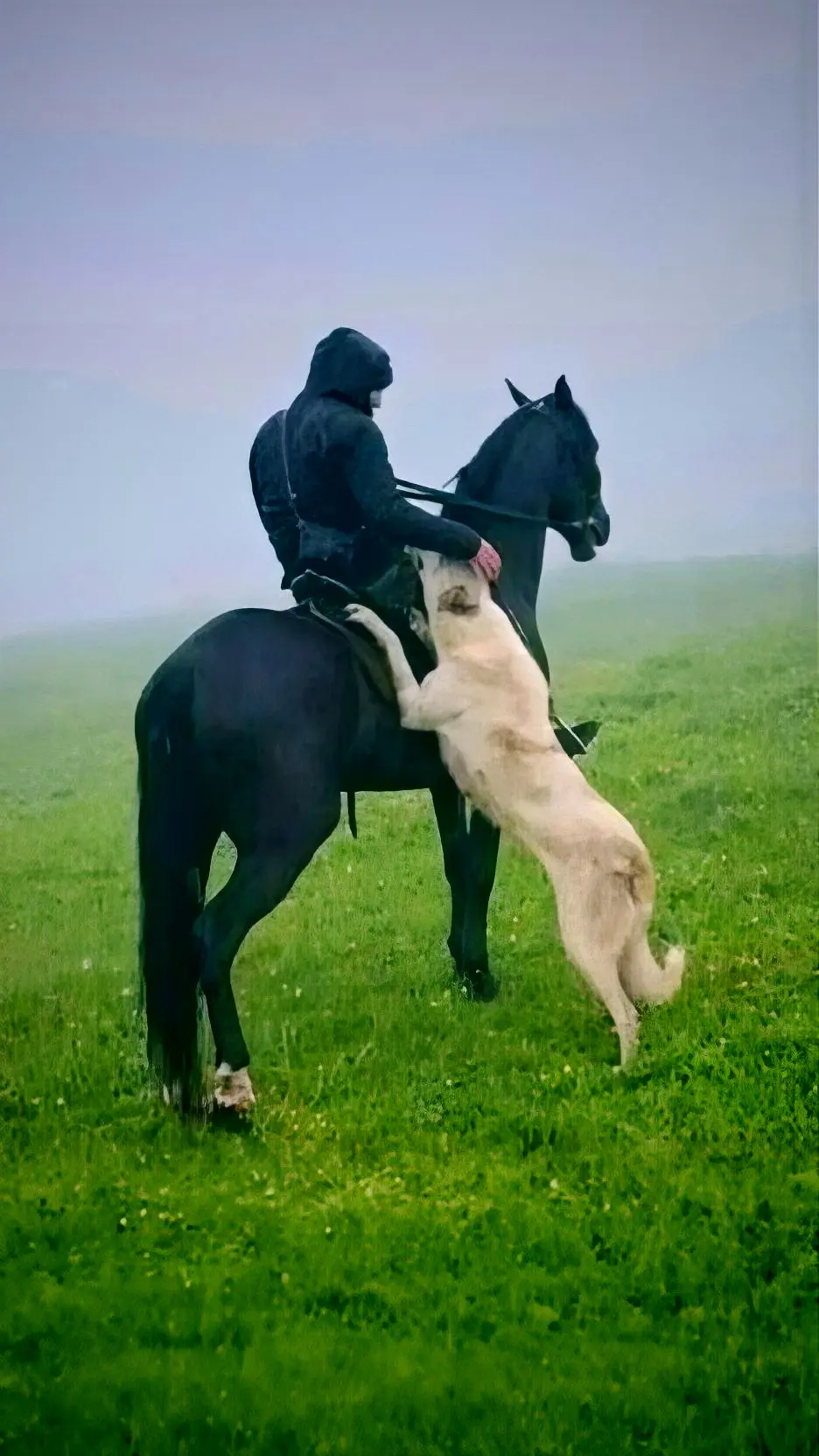 今年也就这样了 消消停停过个年没实现的明年努力干