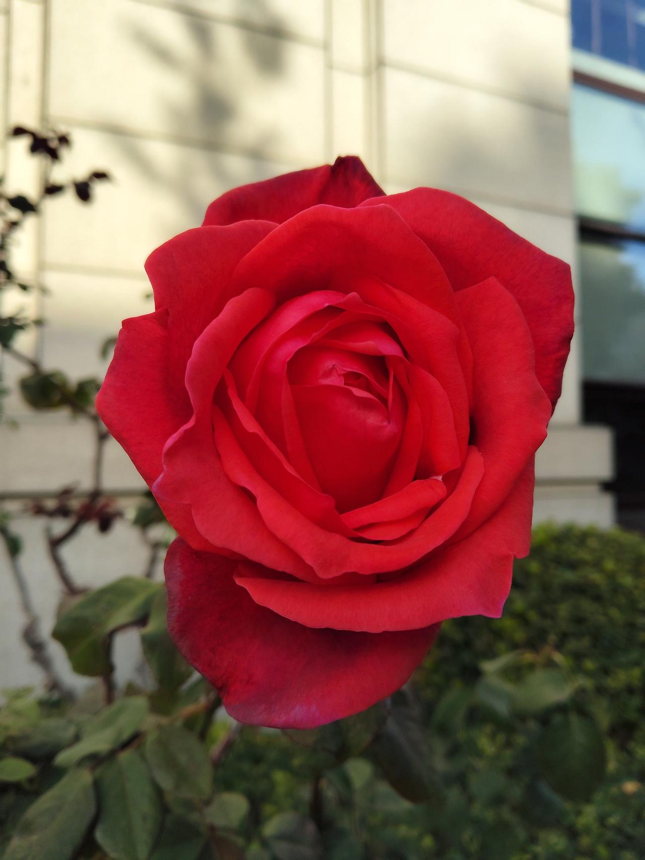 人活着要七补
1、天补，多出门，呼吸新鲜空气，多晒太阳，对身体健康有好处。
2、