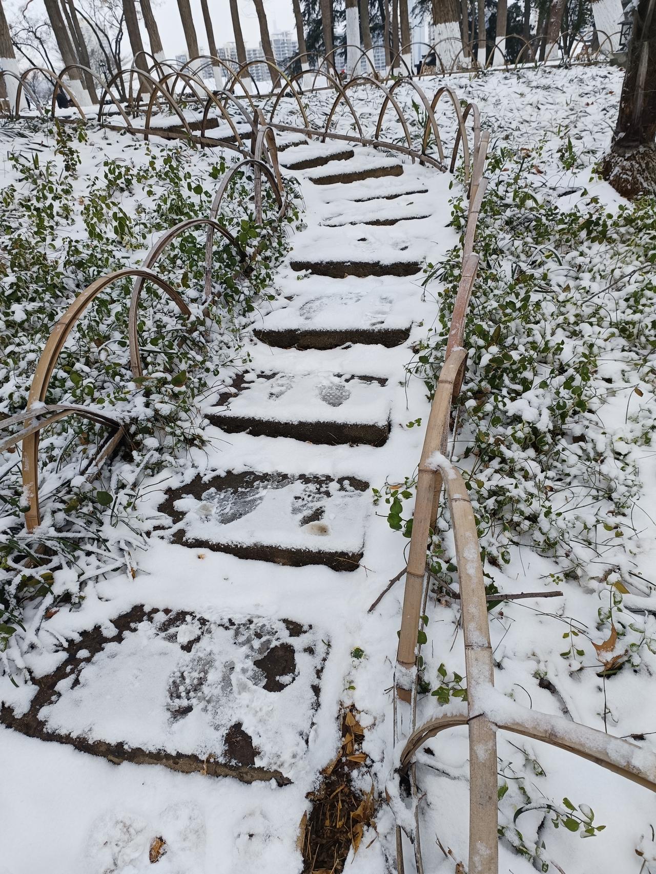 今天晚上，南京又下起了2026年的第二场雪。
好在是雨夹雪，雪落地就融化。
但是