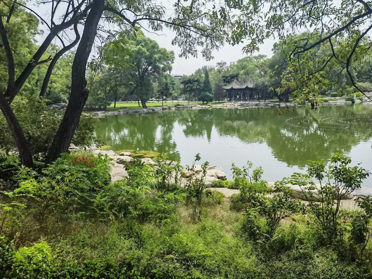 冬日生活打卡季今年夏天我们来到山西，去了晋祠宾馆，这里太美了，晋祠宾馆位于风光秀