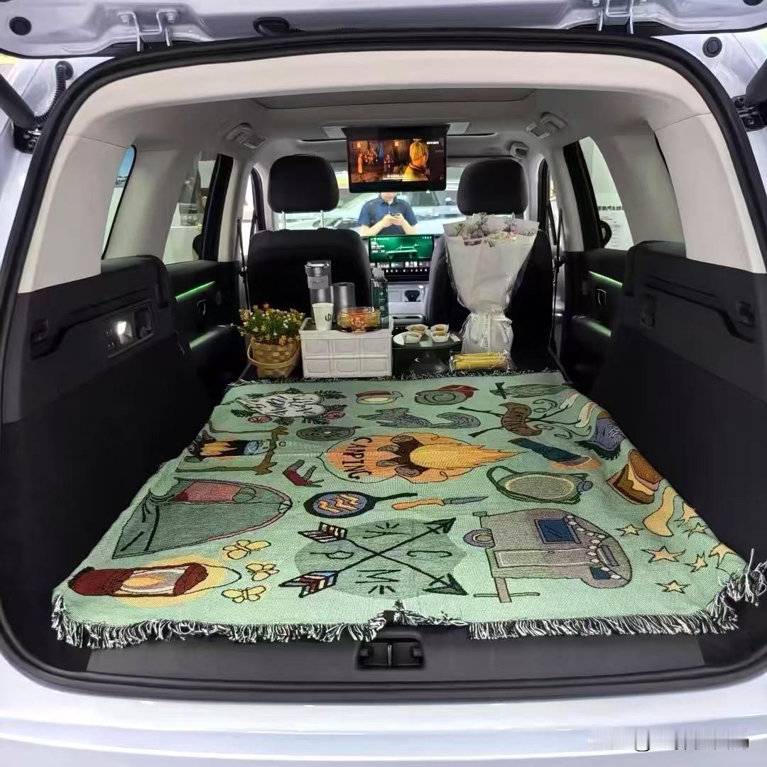 国产新能源是不是研究错方向了，怎么只会宣传冰箱彩电大沙发？
其实这些配置还不是新