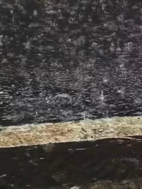 今年的雨水怎么那么多啊！一直下！快没🩲穿了！ 