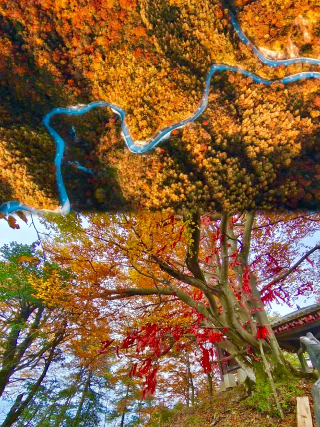 秋天收到光雾山的一封来信🍂