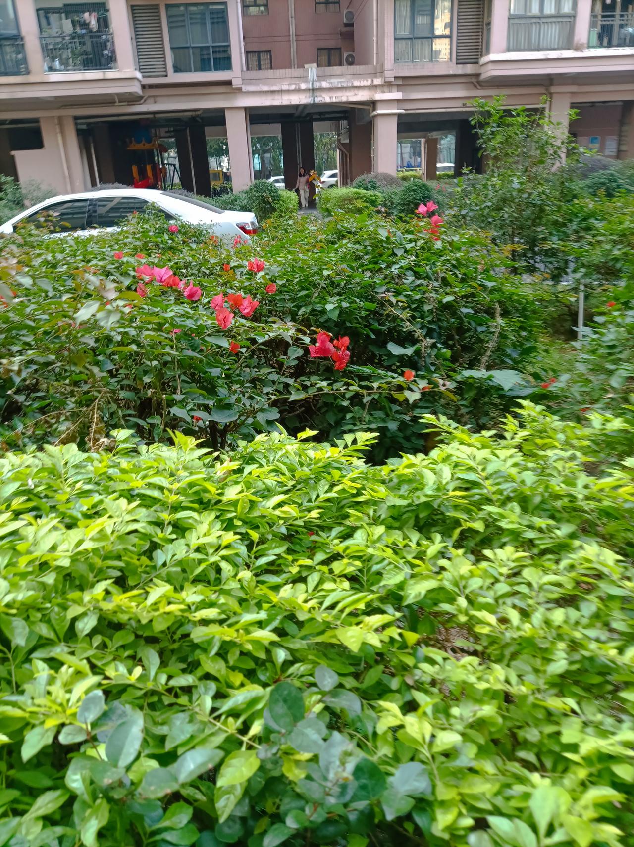 周末放松时刻又是一个周末，今日深圳蓝天白云，天气晴朗，出去放松一下，和老头先去公