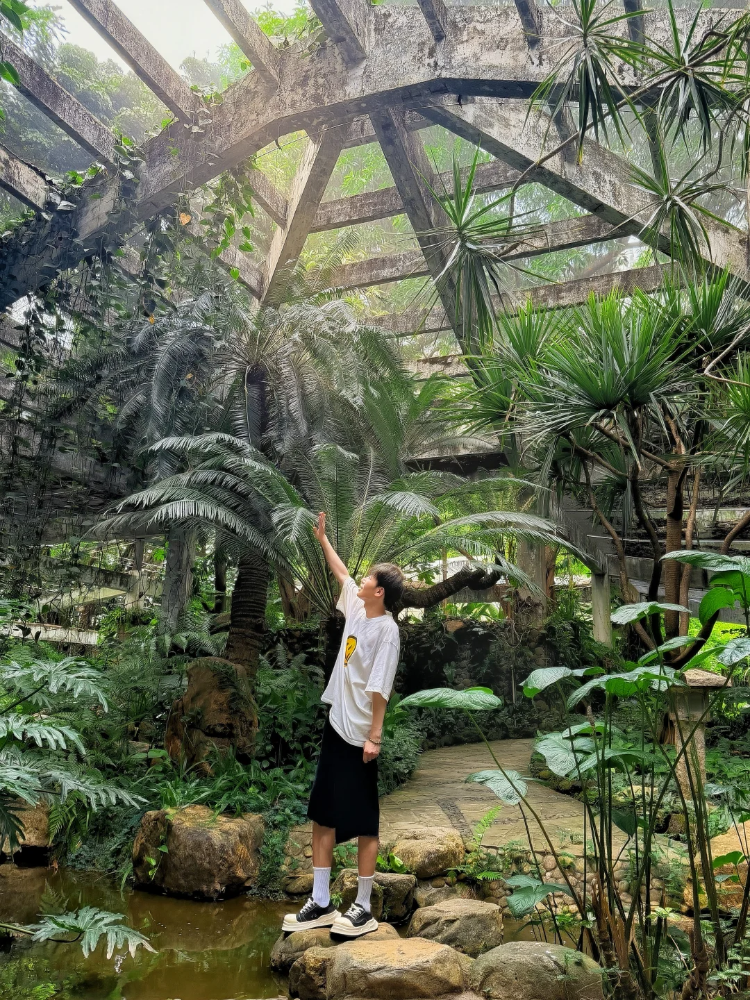 广州免费小众秘境｜闯入现实版侏罗纪雨林🌴