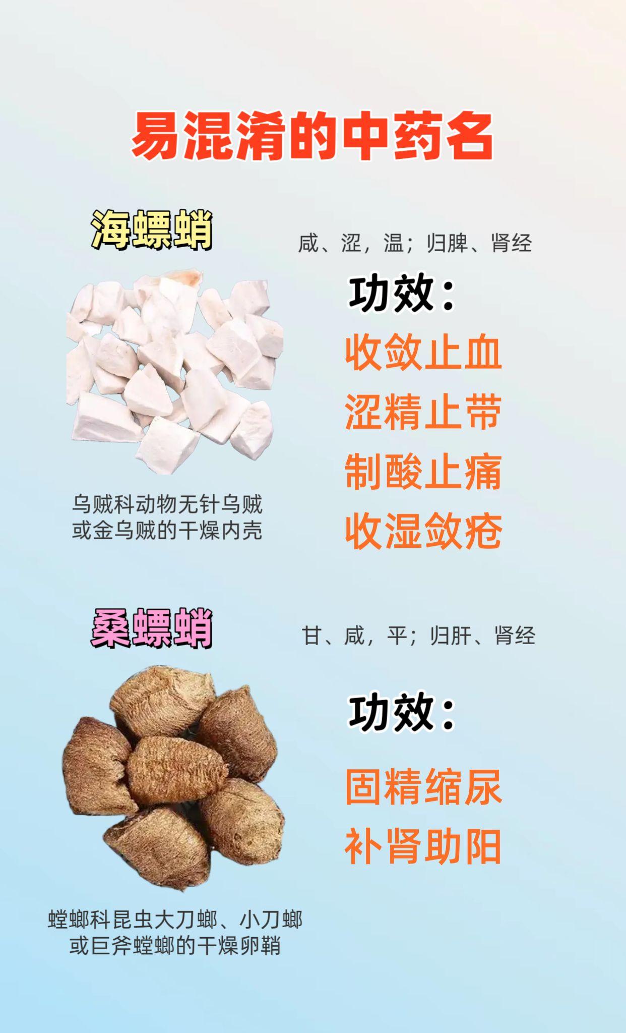 易混淆的中药名。海螵蛸与桑螵蛸
