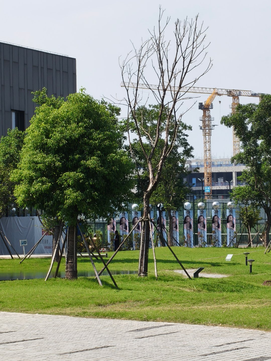 丝塔芙你很宠哦关晓彤丝塔芙品牌代言人 ​​​