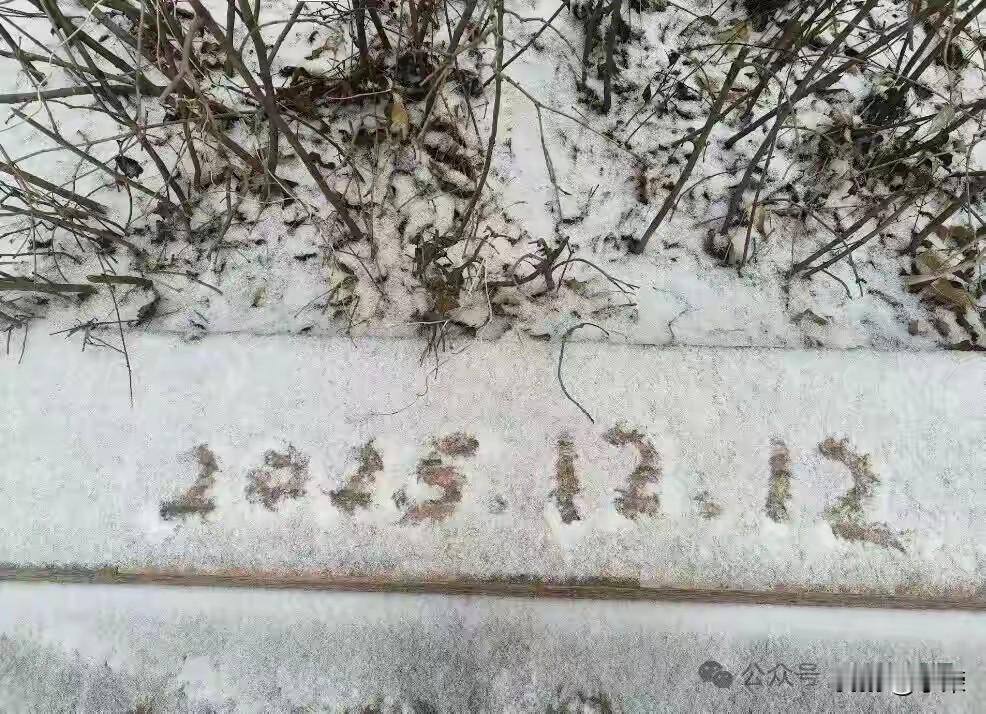 2025年的第一场雪，如约而至。
长平初雪覆地面
玉坠柳树梢
马路羽聚隐雪纹
雪