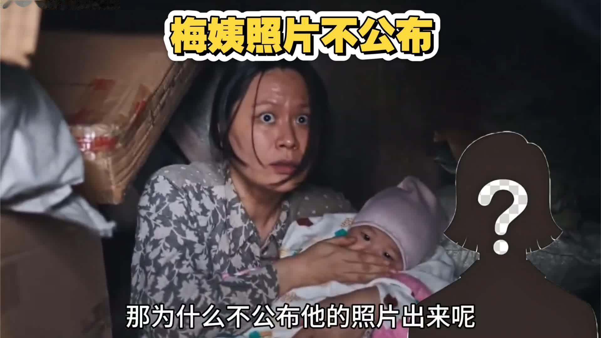 既然梅姨都被抓了，为什么不公布她的照片？