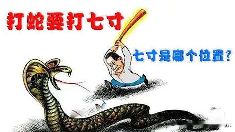 这就叫“打蛇打七寸”，日本媒体这回是真的坐不住了。
​也就是杭州即将在12月底举