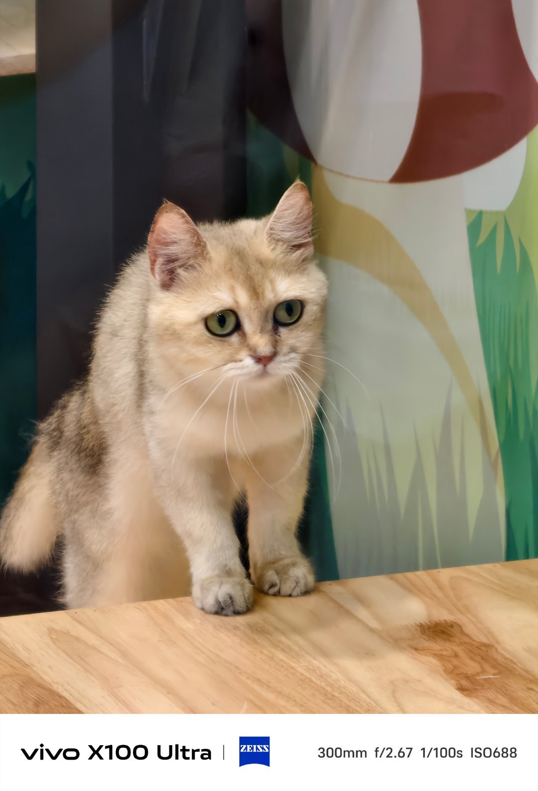 带宠物出行是件难事，好几次带猫回家都很头疼，肯定自己开车带回去最好了。并且尽量宽