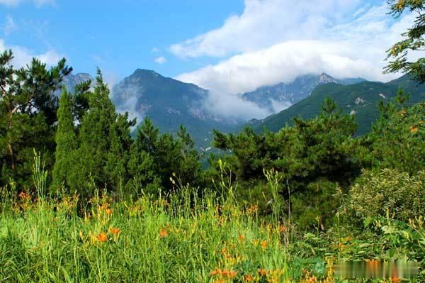 信阳的“香格里拉”黄柏山国家森林公园，隐藏在大别山深处的自然瑰宝，拥有97%的森