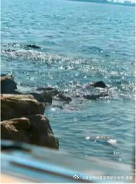 带着希望，勇敢走！跌倒了爬起，失败了再拼～相信明天会更好，平凡的人，也能拥有专属