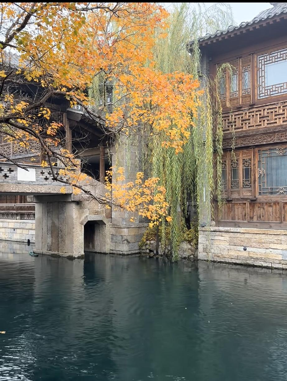老中医说过一段话：“一个人身体好，关键不是营养，也不是锻炼。是胆子要大一点。你不