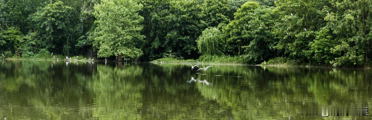 浣花溪公园给了我一个意外的惊喜

 在成都市内逗留的时间长，有名气的地方都玩得差