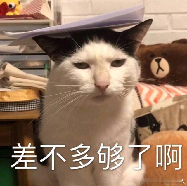 女子在丈夫瘫痪期间出轨并怀孕这叫什么事，这也能上热搜，换个性别估计流量不会这么高