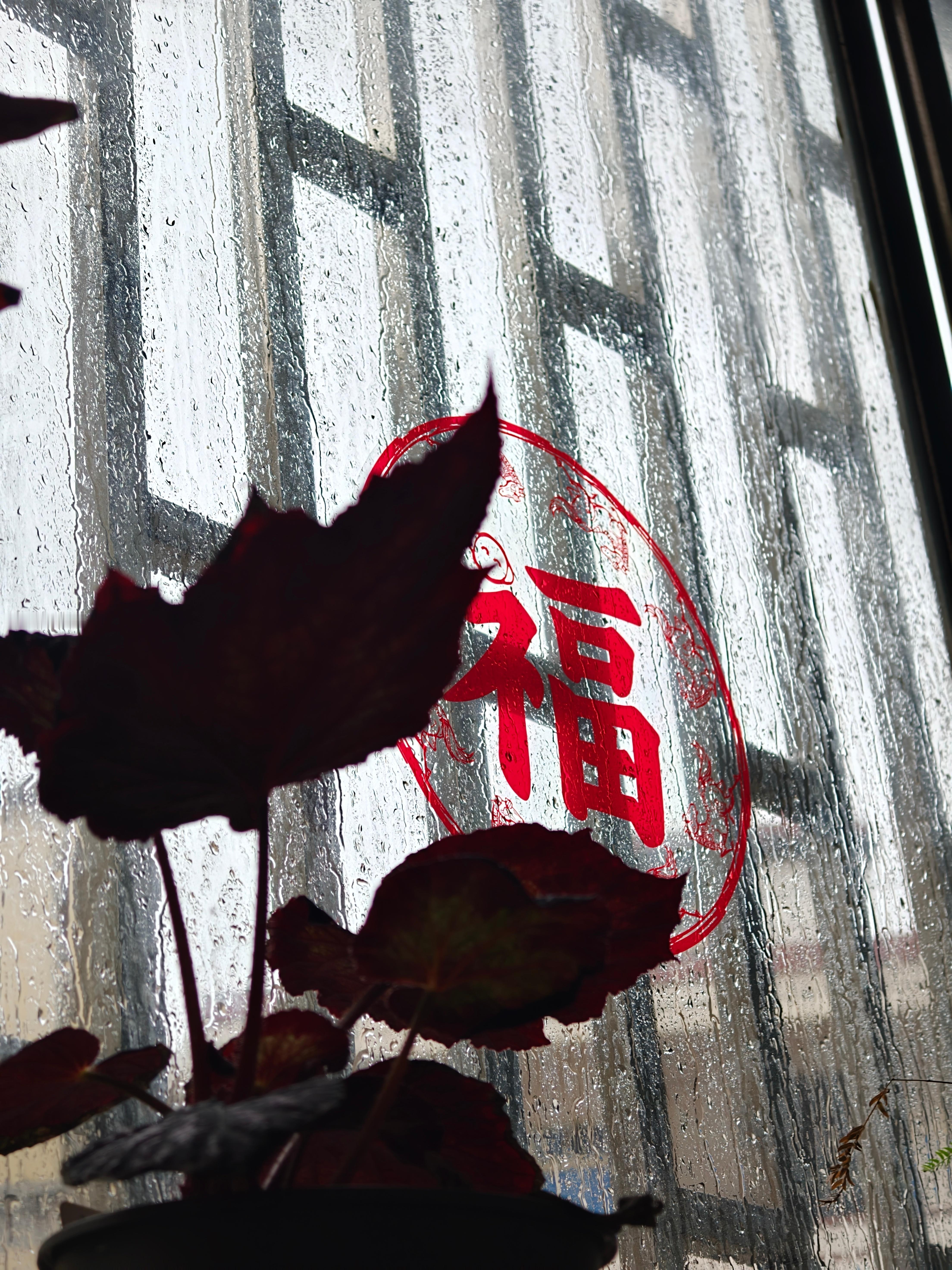 好可怕，一个落地雷我们村停电了快热死啦